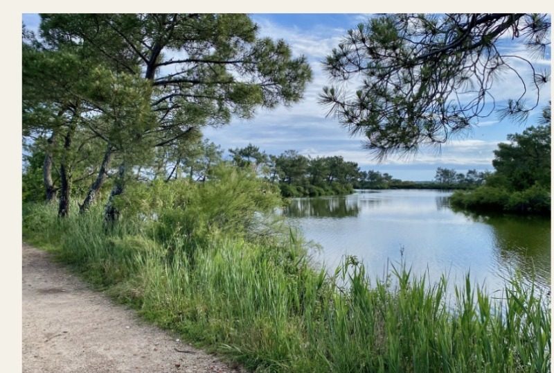 Sentier du littoral à Gujan-Mestras sur le Bassin d’Arcachon